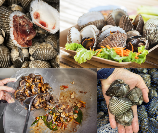 Experience the Unique Flavor of the Blood Clam: A Comprehensive Review