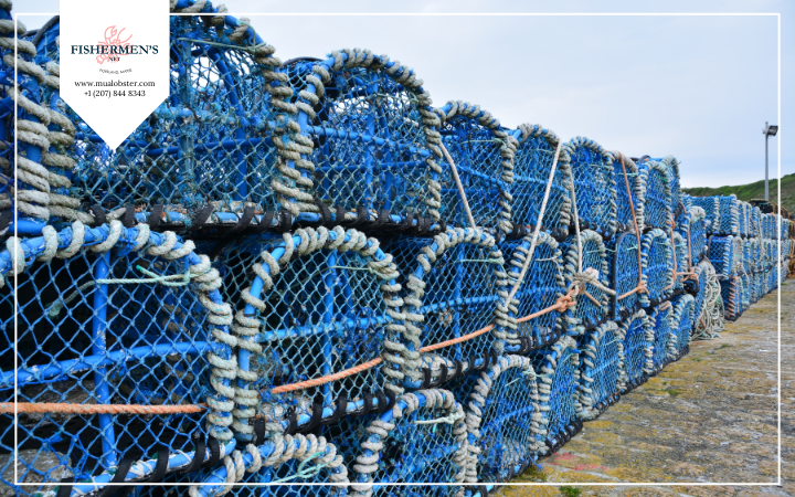 About The Lobster Traps - How Do Lobster Traps Work?