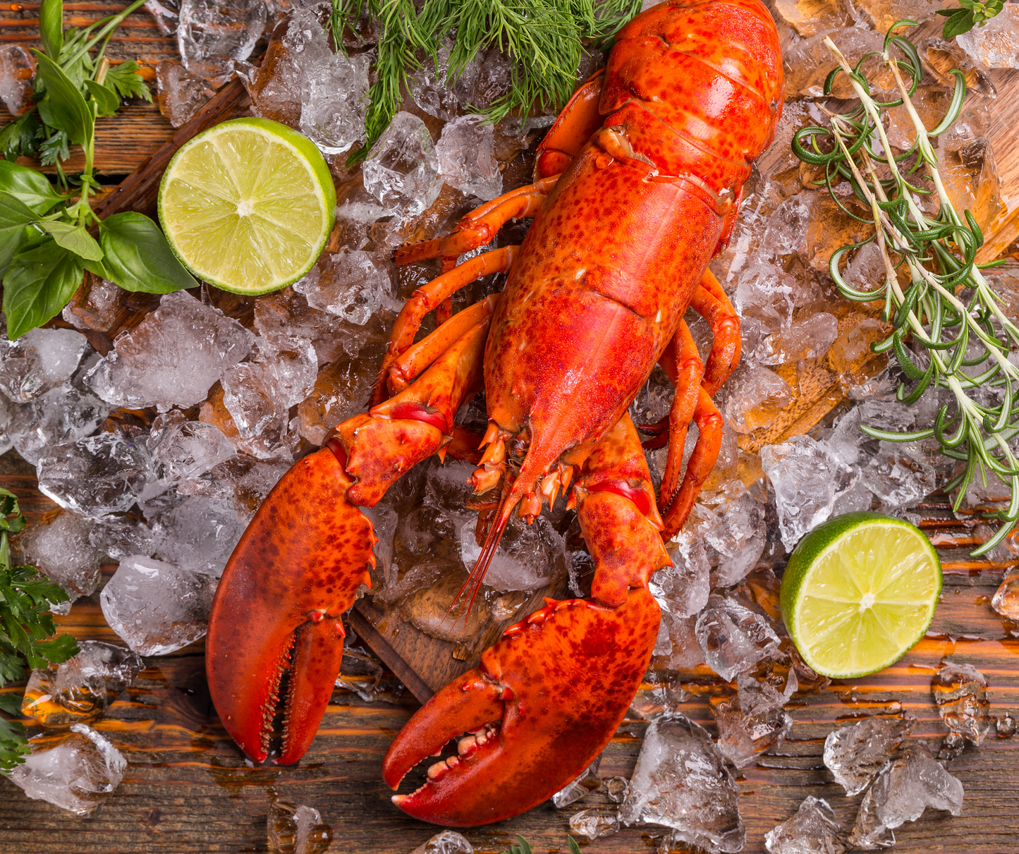 Live Maine Lobster - By count and By size