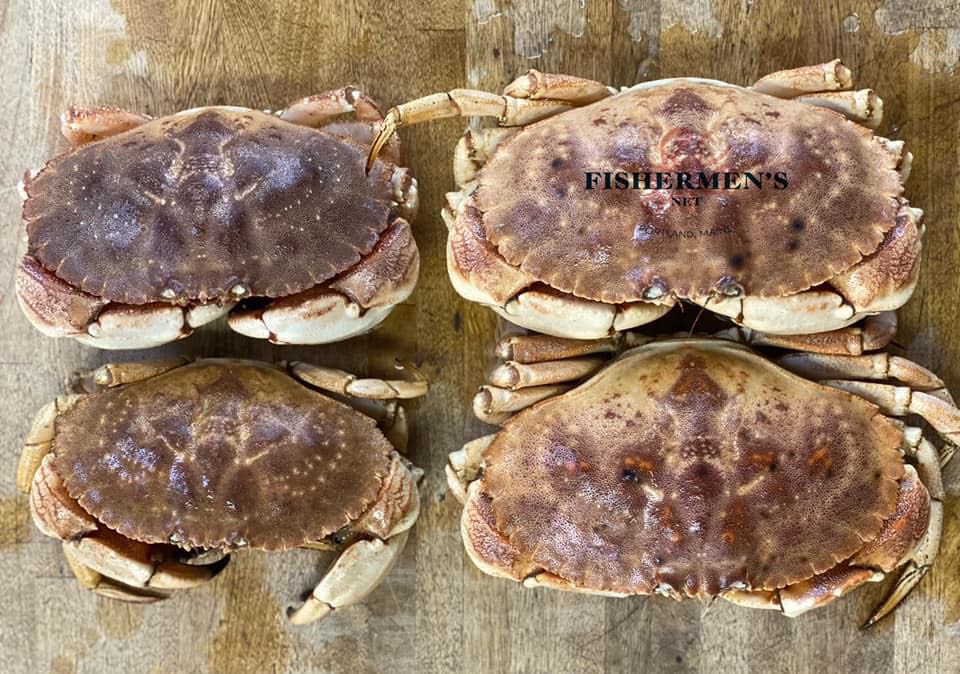 BUY 10 lb Live Maine Lobsters Get FREE 5 lb of your Favorites