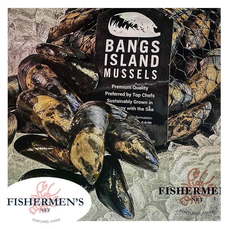 Bang Island Mussels