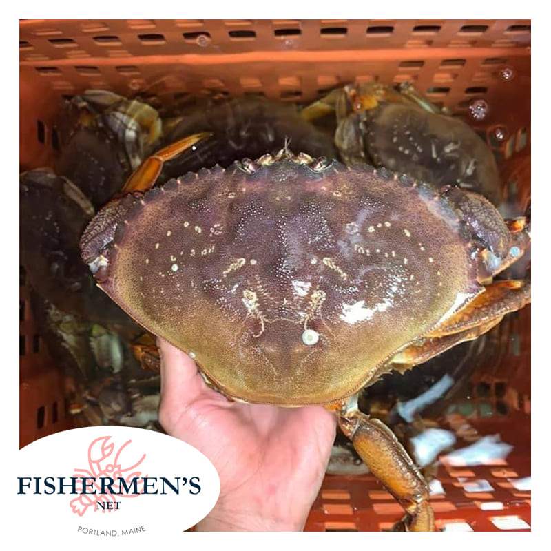 Crab combo