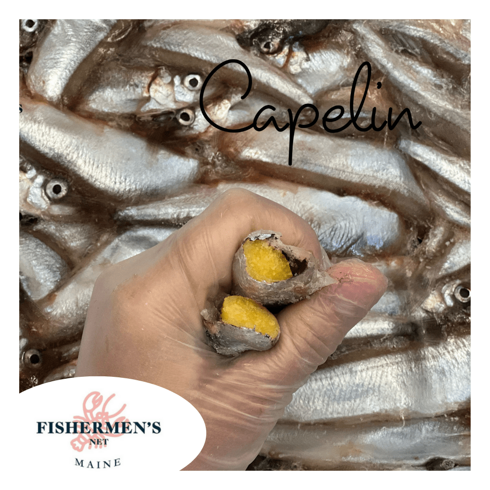 Whole Capelin
