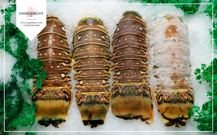 Can You Freeze Lobster Tails? How To Freeze Lobster Tails?