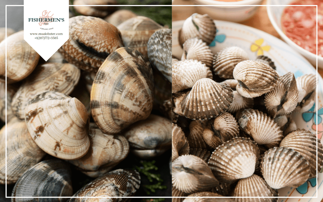 Cockles Vs Clams: What Is The Difference Between Them?