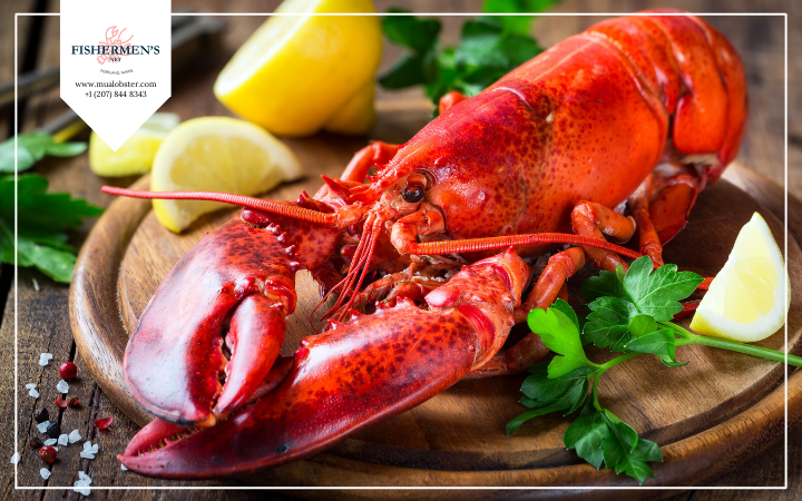 How To Buy Lobster Meat? What To Do Once You've Bought It?