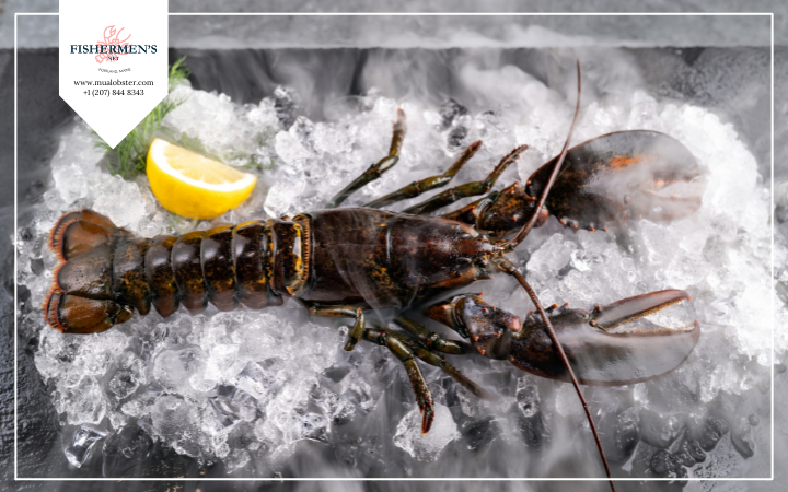 A Full Instruction On How To Cook Live Lobster?