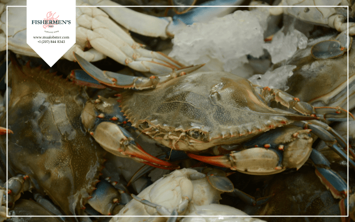 When Is Soft Shell Crab Season?
