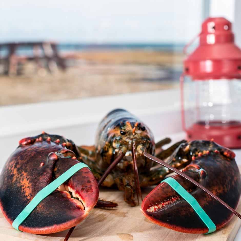 Lobstar Red Color Code What Are Lobster Colors? The Rarest Color Of Lobster | Fishermen's Net