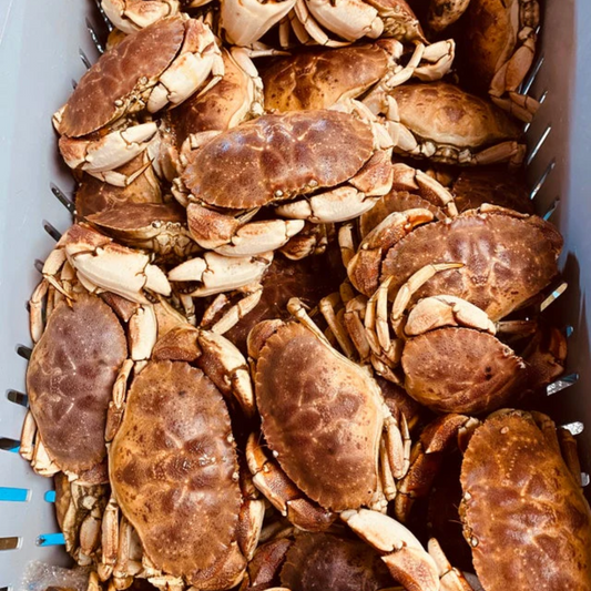 Buy 20 lb Of Jonah Crabs | Get 5 lb FREE