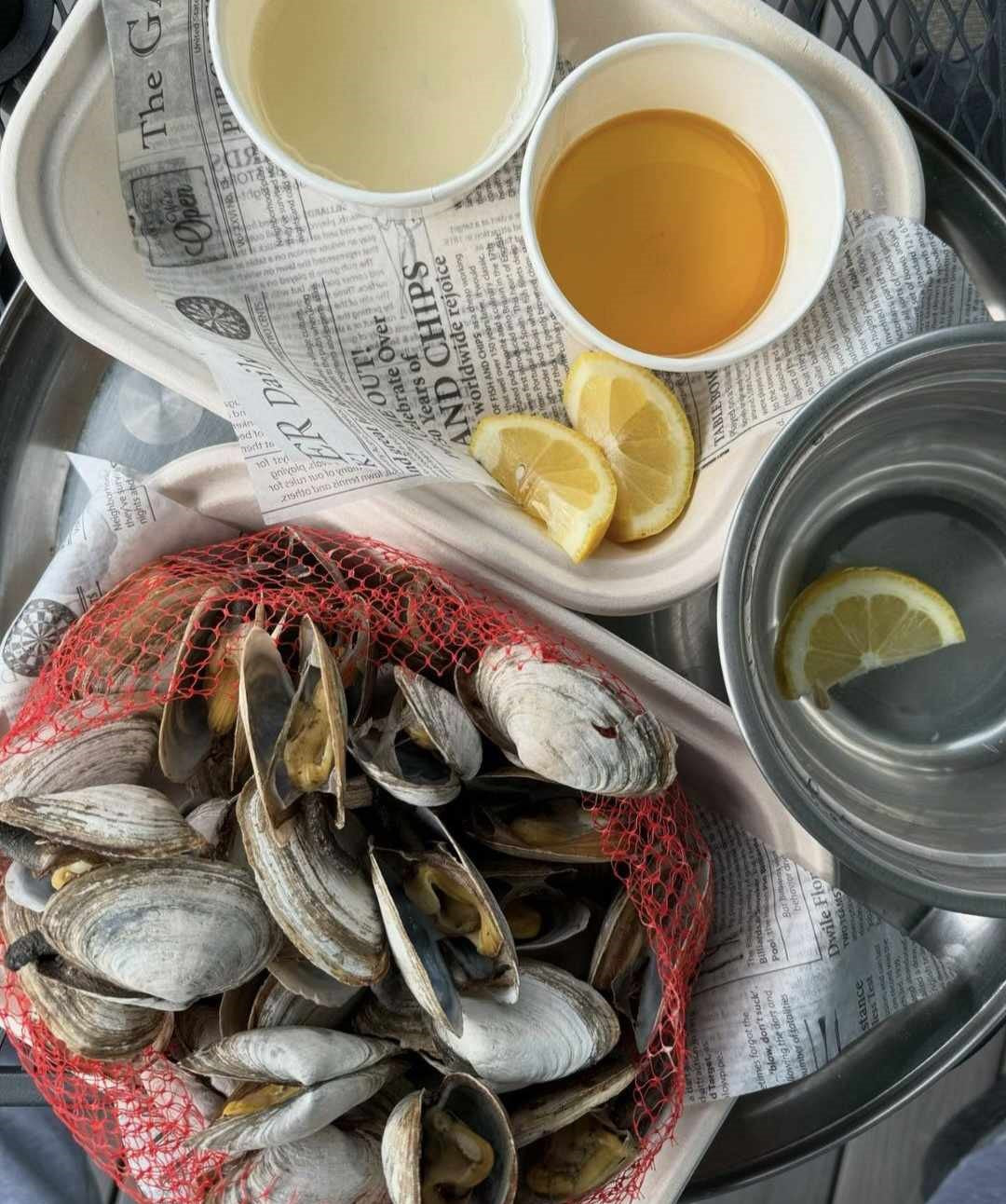 Live Fresh Steamer Clams - Nghêu Maine
