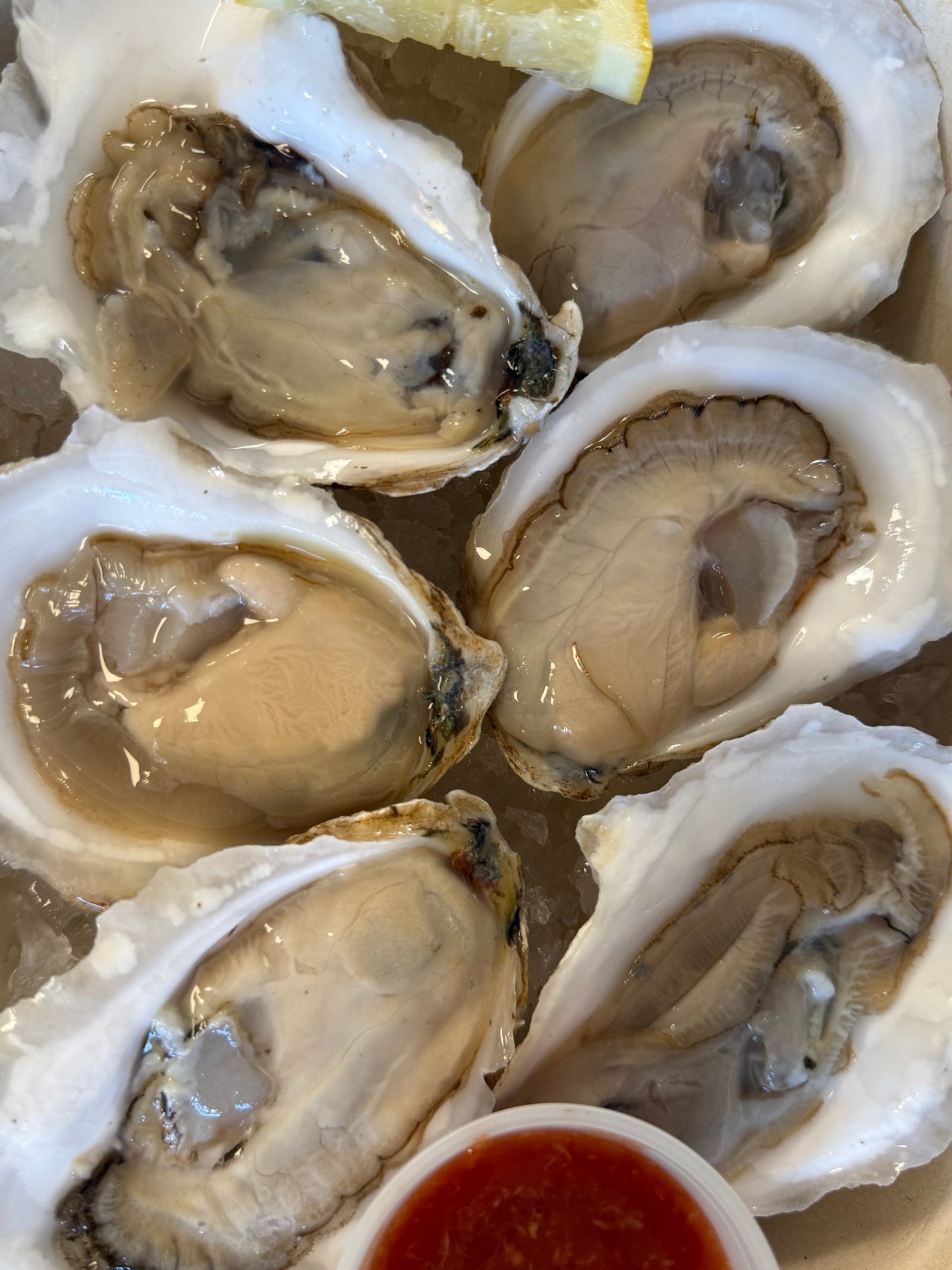 PREMIUM MAINE LOBSTER MEAT + FREE BONUS