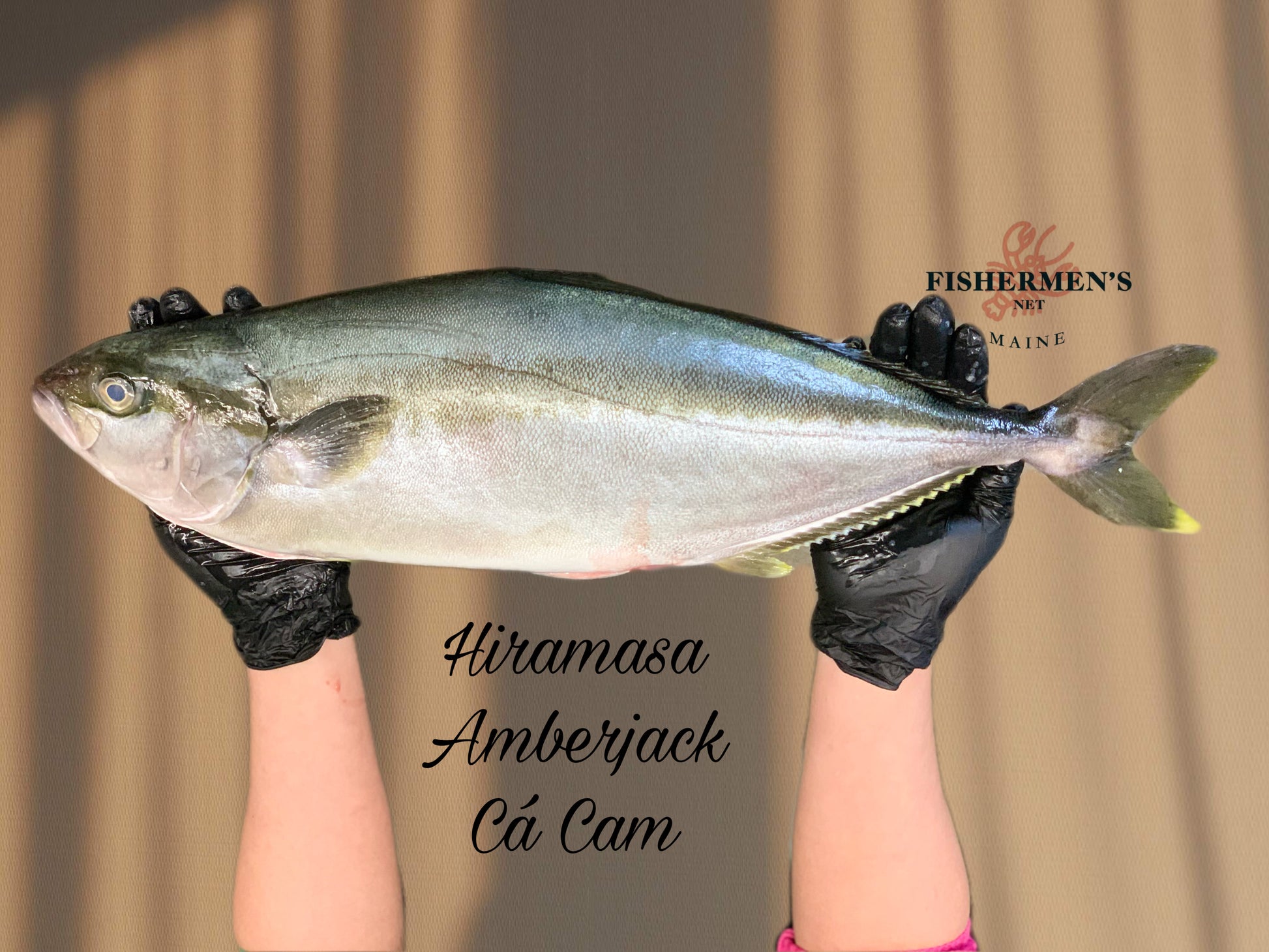 Hiramasa - Whole fish - Avg 5 lb per fish