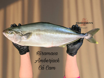 Hiramasa - Whole fish - Avg 5 lb per fish