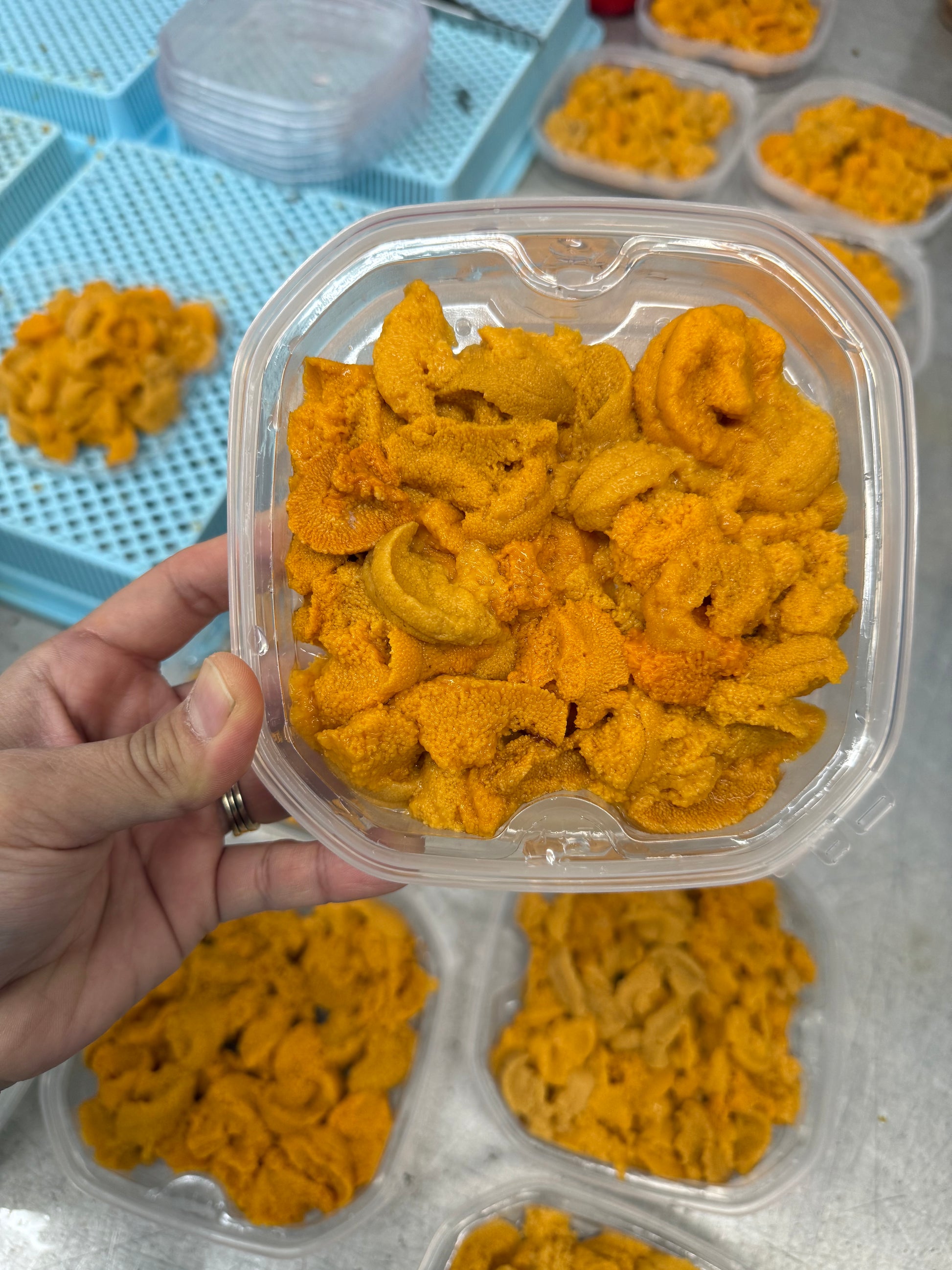 Fresh Saltwater Uni (No Preservatives)- 150gr box