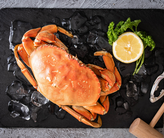 Live Fresh Dungeness Crabs - Cua Canada sống