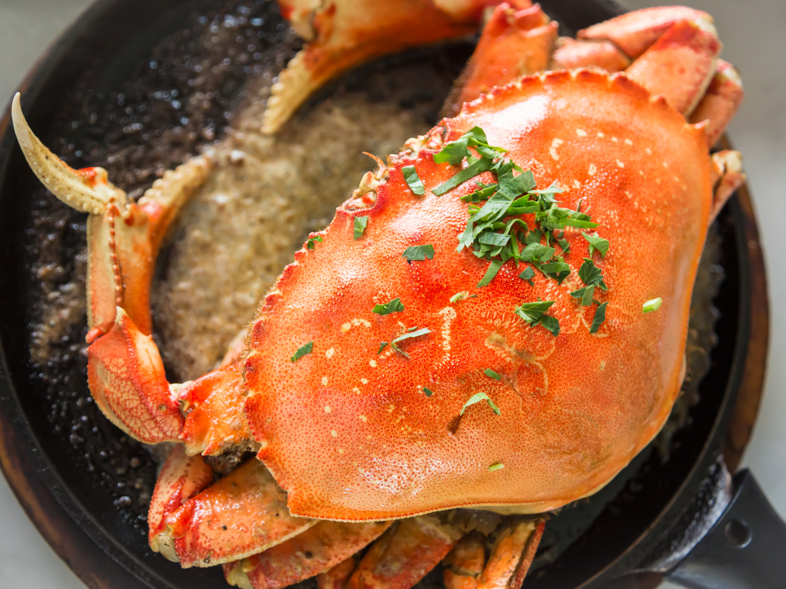 Live Fresh Dungeness Crabs - Cua Canada sống