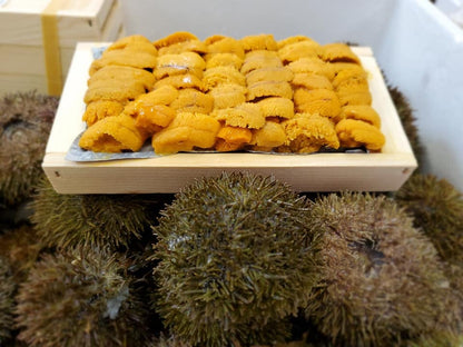 Fresh Sea Urchin Roe (Uni)