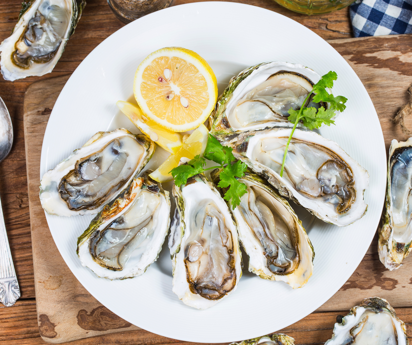 Live Fresh Jumbo Oysters (5 inches up) - Perfect for grilling