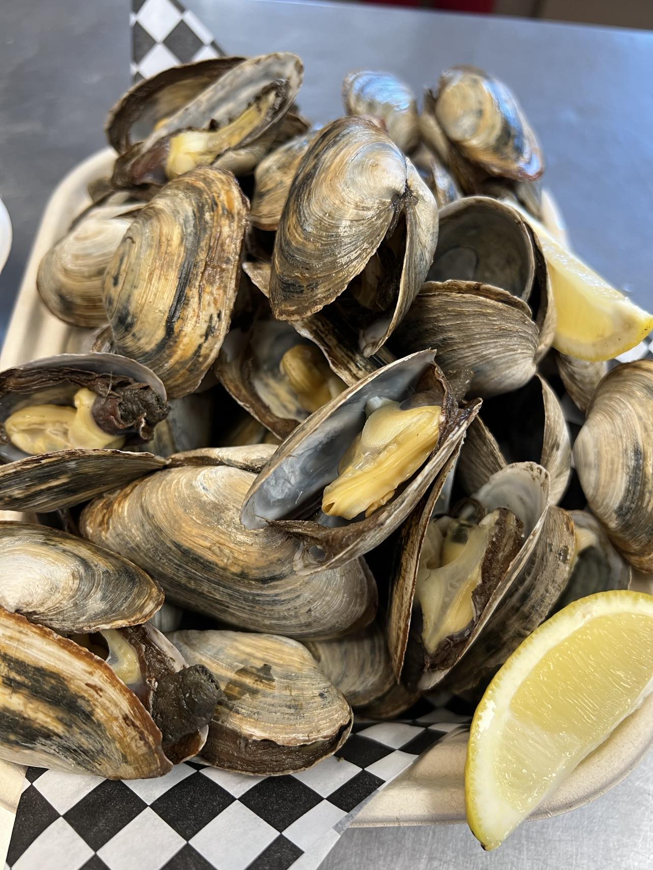 Live Fresh Steamer Clams - Nghêu Maine