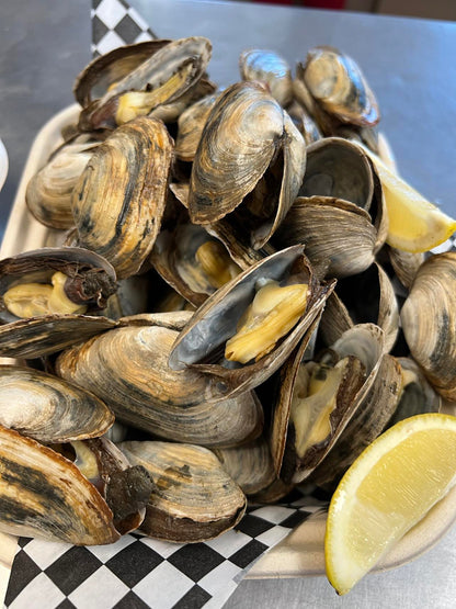 Live Fresh Steamer Clams - Nghêu Maine