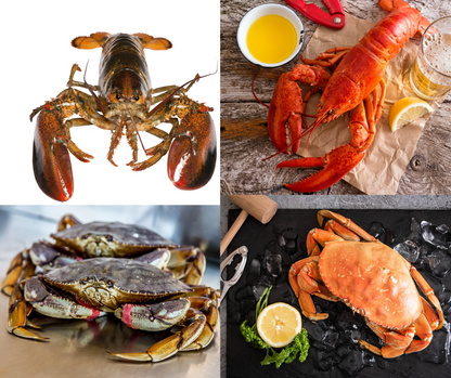 Dungeness Crab & Maine Lobster Duo