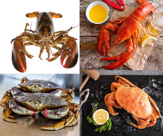 Dungeness Crab & Maine Lobster Duo
