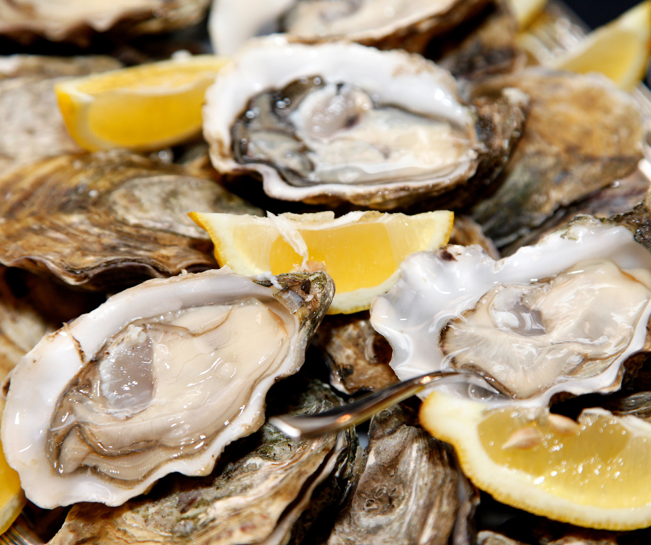 Live Fresh Jumbo Oysters