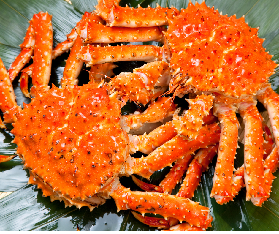 Live Fresh King Crab - Cua Hoàng đế sống