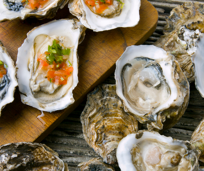Live Fresh Select Oysters (4-5 inches) - Perfect for Grilling or Raw