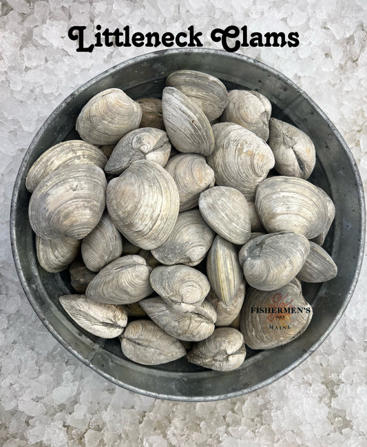 Live Littleneck Clams - Nghêu vỏ cứng