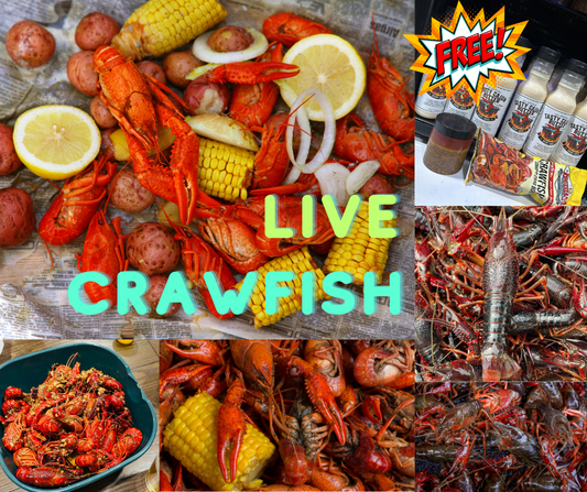 Live Fresh Crawfish in Medium/ Large Size