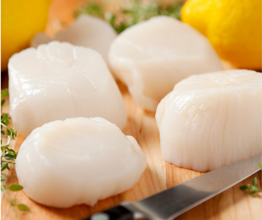 Fresh Sea Scallops Online