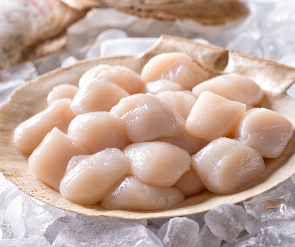 Fresh Sea Scallops Online