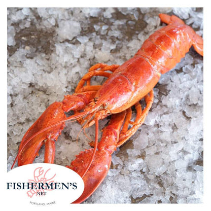 BUY 10 lb Live Maine Lobsters Get FREE 5 lb of your Favorites