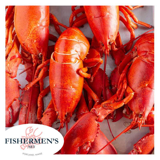 Buy 6 Fresh Lobster (Size 1.4-1.7 lb) | Get 2 lb mussel FREE