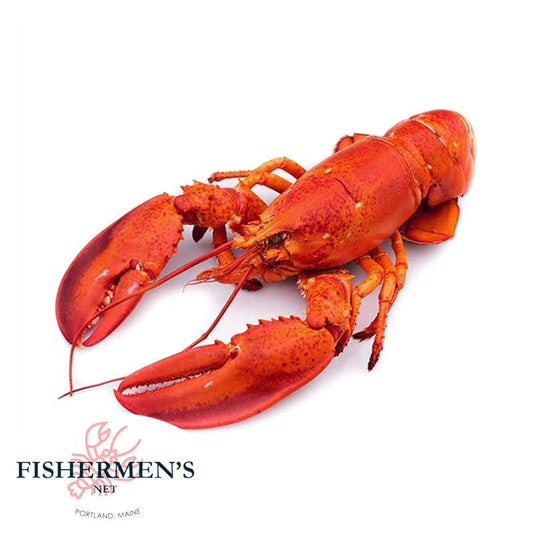 2 lb Maine Lobster