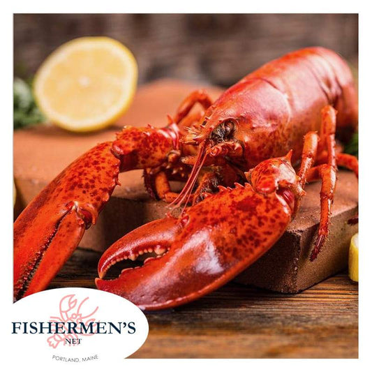 20 lb Jumbo Lobster (1.8-4 lbs/ea)