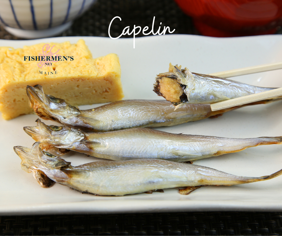 Frozen Whole Capelin with full of egg roe