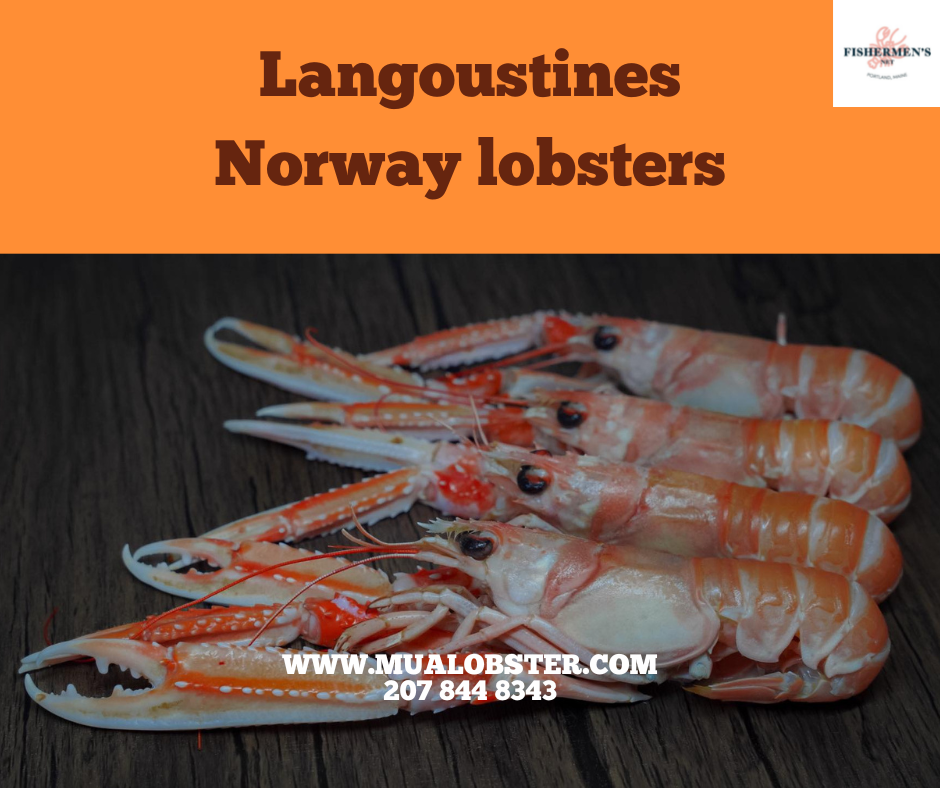FROZEN Langoustine - Norway Lobster (4-7 counts per pound)