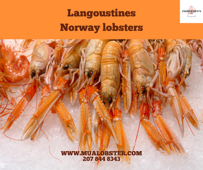 FROZEN Langoustine - Norway Lobster (4-7 counts per pound)
