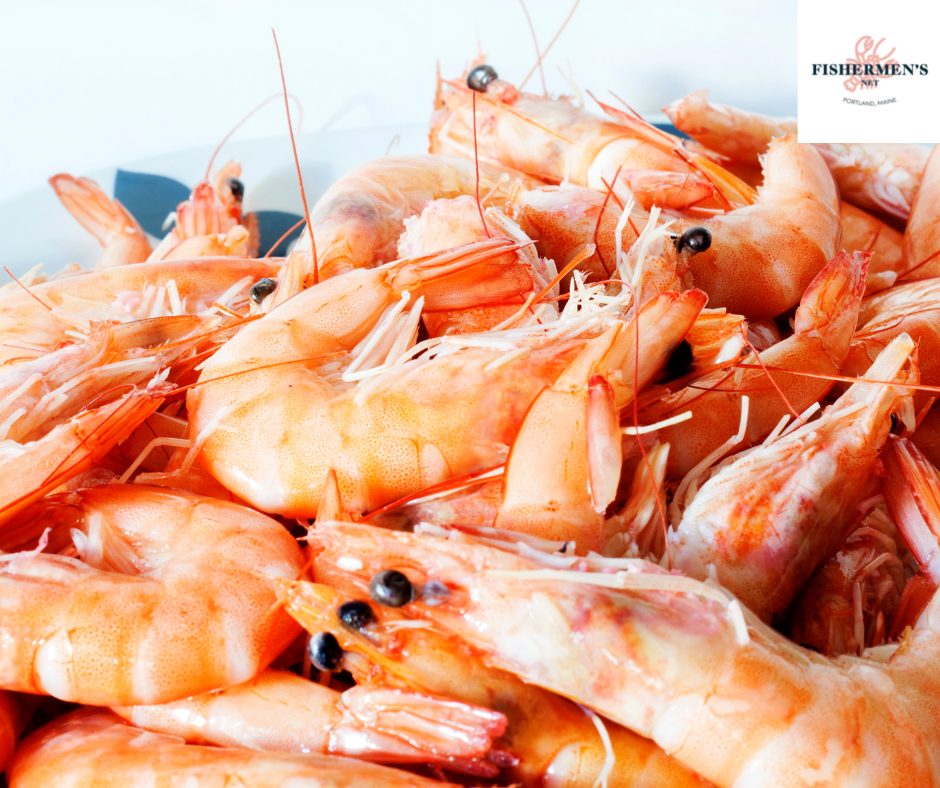 Frozen famous Greenland Prawn