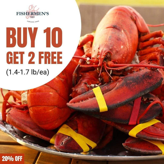 Buy 10 Fresh Lobster (Size 1.4-1.7 lb) | Get 2 FREE