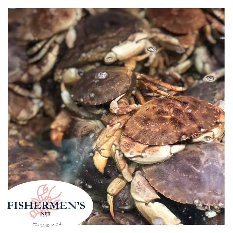 Buy 20 lb Of Jonah Crabs | Get 5 lb FREE