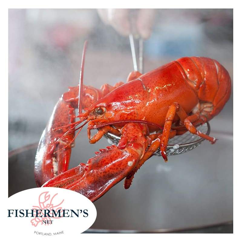 Buy 4 Fresh Lobster (Size 1.4-1.7 lb) | Get 1 FREE