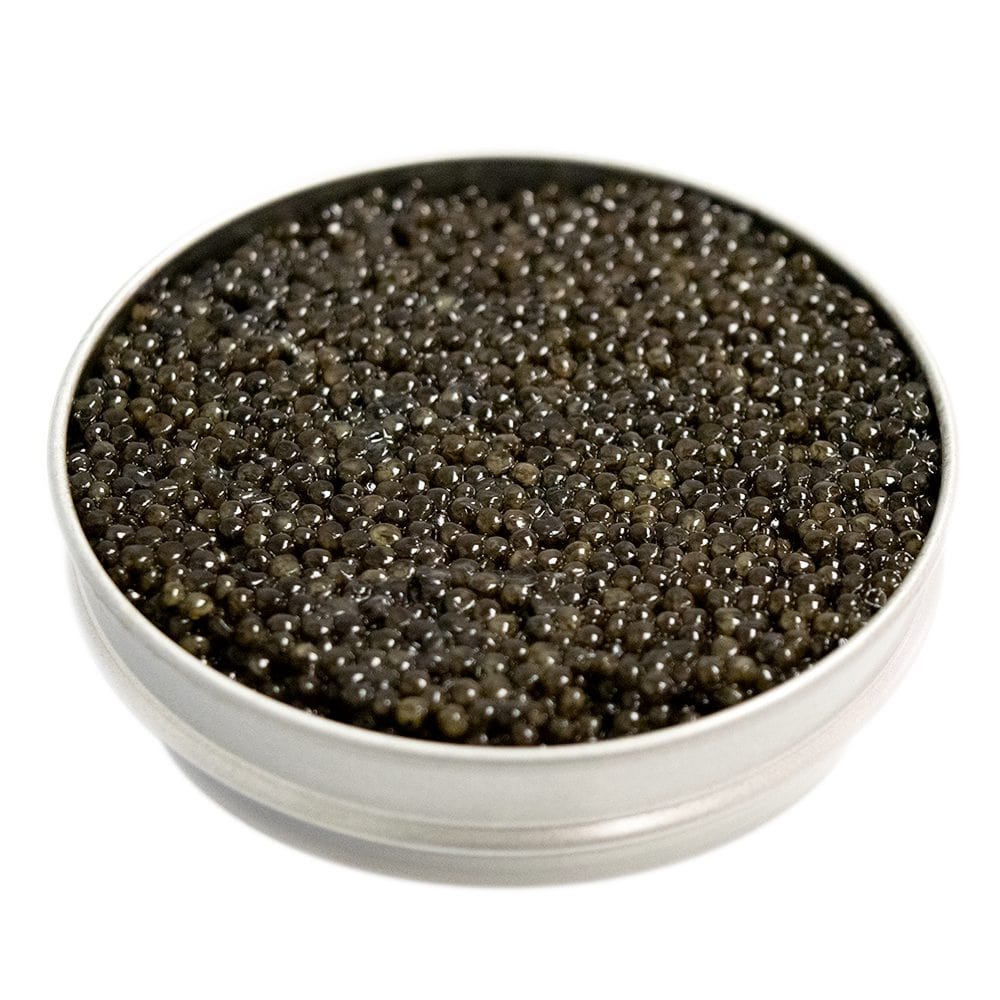 Classic California White Sturgeon Caviar
