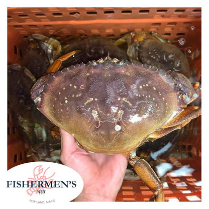 Crab combo