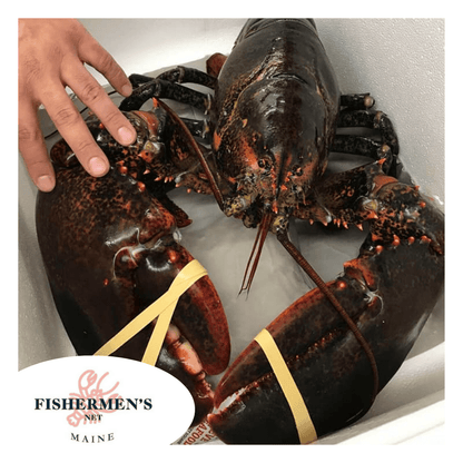 Giant lobster weight 6-8 lbs / ea