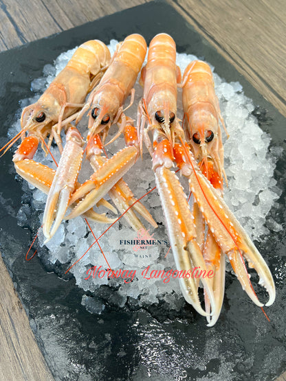 Frozen Langoustine - Norway Lobster (4-7 counts per pound)