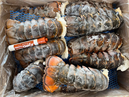 WILD 7-8 oz. Canadian Lobster tails